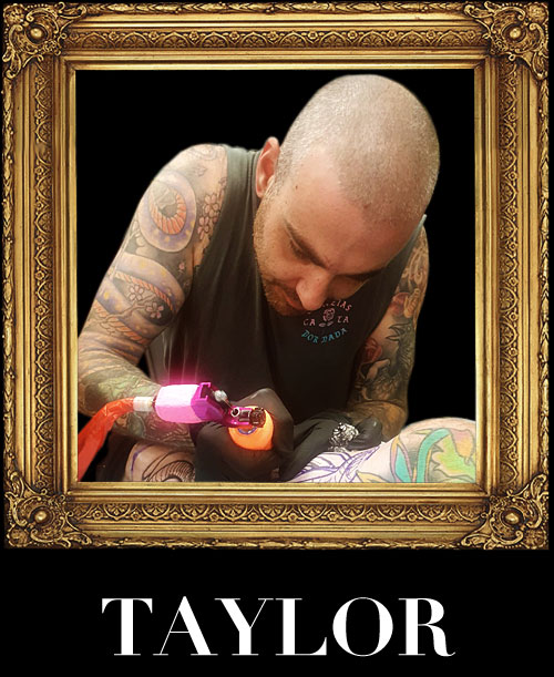 taylor-new